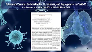 Endothelialitis, Mikrothrombose und Angiogenese: Warum SARS-CoV-2 die Lunge schädigt