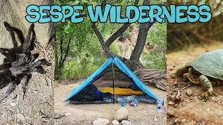 Solo #Backpacking #Sespe Wilderness
