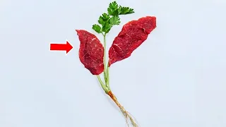 Researchers grow meat on leaf