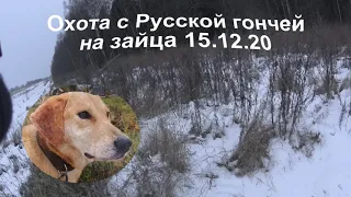 Охота на зайца с Русской гончей 15 12 20