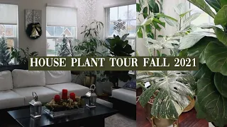 HOUSEPLANT TOUR FALL 2021/WINTER 2022