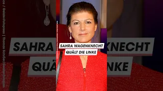 Gysi: Wagenknecht QUÄLT die Linke #shorts