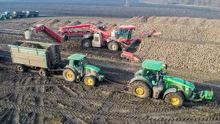 Holmer Terra Felis 2 loading Sugar Beet | Mud & Extreme | 10x John Deere + Rába + JCB + Case