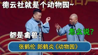 张鹤伦：德云社就是个动物园~郎鹤炎：怎么说？张鹤伦：都是禽兽！#德云社  #郭德纲 #于谦 #岳云鹏 #张鹤伦 #孟鹤堂 #郭麒麟 #張鶴倫  | 每日更新 放松助眠