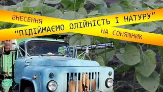 Підіймаємо олійність і натуру: вносимо бор на соняшник