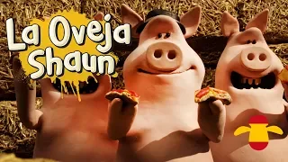 Guerras territoriales - La Oveja Shaun - Temporada 5 - Episodio completo [Shaun the Sheep Season 5]