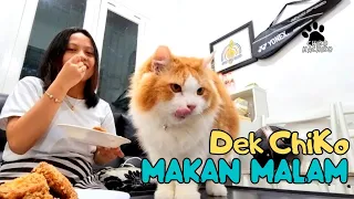 Dek Chiko Makan Malam. funny, funny videos, try not to laugh, funny, pets, animals, cat, hachiko