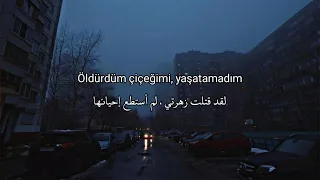 Dedublüman - Belki مترجمة