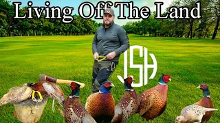 Hunting with a #Slingshot living off the land