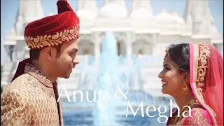Stunning South Asian / Indian Wedding near Chicago