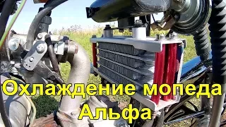 Масляный радиатор на мопеде Альфа