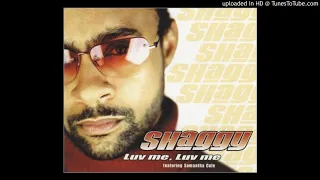 Shaggy - luv me luv me (hd audio)