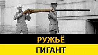 Гигантское ружье для геноцида уток