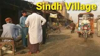 Sindh Village|Sindh Village Life| Larkana Suburban|Larkana Simple Life| The People is Sindh