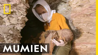 Das Geheimnis der Kindermumien | Tal der Könige: Ägyptens verlorene Schätze