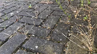 Block Paving NEEDS To Be Sanded, Right? Re-Sand This Block Paved Driveway!! & It'll Be RUINED!!