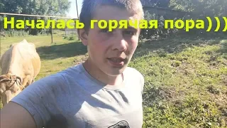 Отвел корову на луг//Загон для кроликов//Пошла горячая пора//Заготовка сена!!