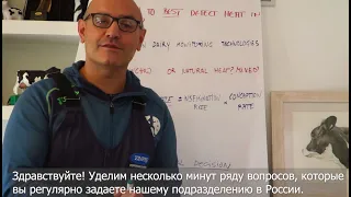 Как выявить охоту у коров?