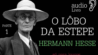 ÁUDIO LIVRO PARTE 1   O LOBO DA ESTEPE HERMANN HESSE narração humana de marcos mendes maciel