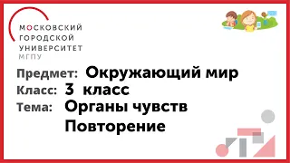 3 класс. Окружающий мир. Органы чувств. Повторение