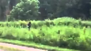 See 'Bigfoot' caught on camera by holidaymaker walking his dog in North Carolina (VIDEO)