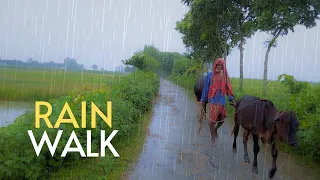 A Very Beautiful Ambience Walk in the Rain | ASMR Sleep Sounds, Rain Walk, Rain Sounds for Sleeping