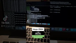 Нода Zeek Network гайд #ноды #node #zeek #crypto #крипта #testnet #тестнет