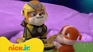 Psi Patrol | Szczeniaki w pociągach, samolotach i autach! | Nick Jr. Polska