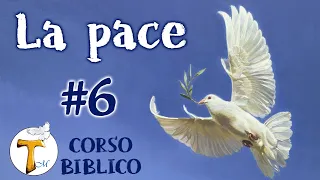 La pace | #6 |   24 Marzo 2024