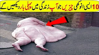 Things You Will See For The First Time in Your Life In Hindi/Urdu