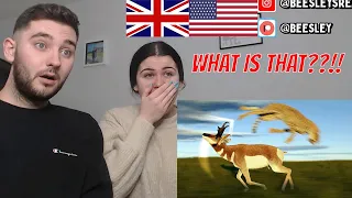 Americas' Secret Top Tier Animal | BRITISH COUPLE REACTS