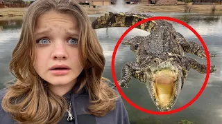 🐊 ALLIGATOR in our POND?! IS the POND MONSTER BACK?