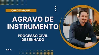 Agravo de Instrumento | Processo Civil Desenhado