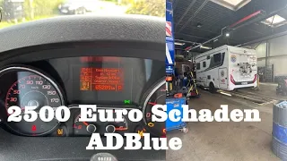 Wohnmobil AdBlue defekt 2500 Euro Kosten   wie kann dass passieren?