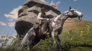 HOW TO GET A SILVER DAPPLE PINTO at Face Rock. Red Dead Redemption 2.