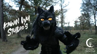 Werewolf - Halloween