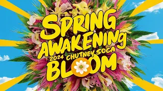 🌸 Spring Awakening: 2024 Chutney Soca Bloom | Innovation Power Soundz 🎧 🌸