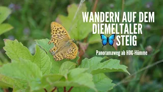 Diemeltaler Schmetterlingssteig - Panoramarundweg ab Hümme