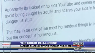 The Momo Challenge: What Parent's Need to Know
