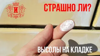 Откуда на кирпичной кладке белые пятна (высолы). Страшно? Коттедж Акбердино Уфа.