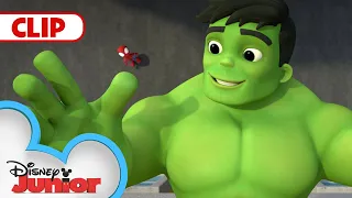 Superhero Switcheroo | Marvel's Spidey and his Amazing Friends | @disneyjunior