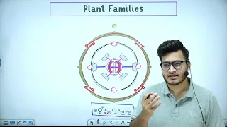 L7: Plant Families: Fabaceae, Solanaceae & Liliaceae | Morphology in Flowering Plants| 11th Class