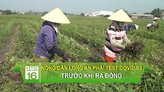 Nông dân Long An phải xét nghiệm Covid-19 trước khi ra đồng | VTC16