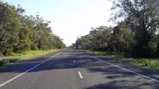 Pilliga Scrub