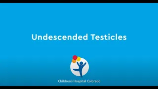 What are Undescended Testicles?