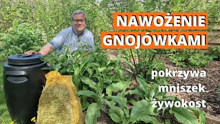 Nawożenie gnojówkami. Gnojówki z pokrzywy, mniszka, podagrycznika i żywokostu.