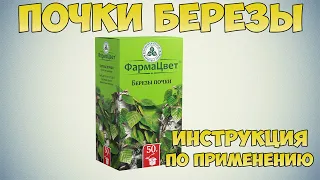 Берёзовые почки как применять для лечения бронхита и трахеита? Лечить отёки сердечного происхождения