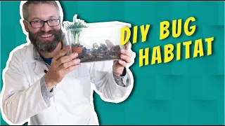 DIY Bug Habitat! | Buggin' Out