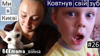 Війна#26 Я ВПЕРШЕ  приїхала в Київ,  за 7 місяців / Знайомтесь,це Мурка) Коля проковтнув свій зуб!