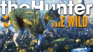 The Hunter Call Of The Wild | NIGHT VISION ON THE WAY & MEDVED RARE FUR TYPES!!